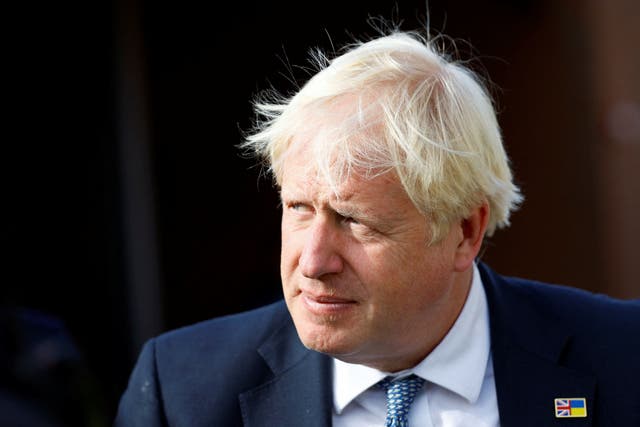 <p>Boris Johnson also dismissed long Covid as ‘Gulf War Syndrome stuff’ </p>
