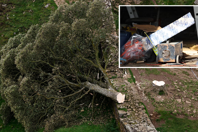 <p>Police investigations are ongoing after the iconic Sycamore Gap tree was felled, with the chainsaw of a key suspect now confiscated.</p>